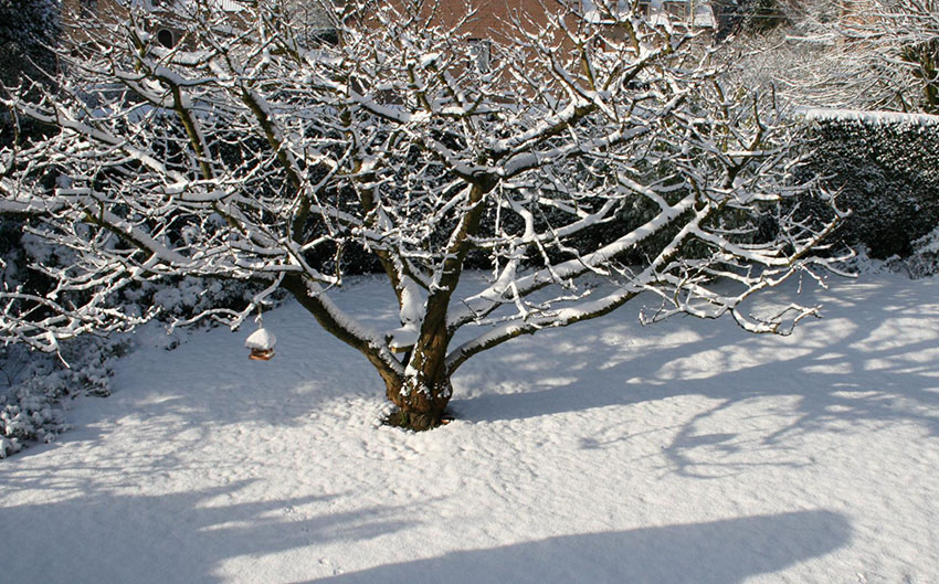 Entretien de jardin - Paysagiste Saint-Geneviève-des-Bois